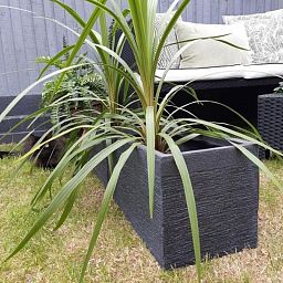IDEALIST Lite Ribbed Light Concrete Trough Planter