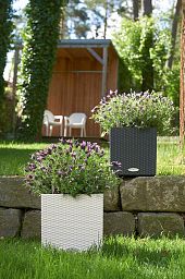 LECHUZA CUBE Cottage Square Poly Resin Self-watering Planter