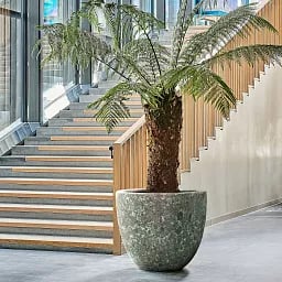 Lava Ceramic Round Planter | Indoor and Outdoor Plant Pot