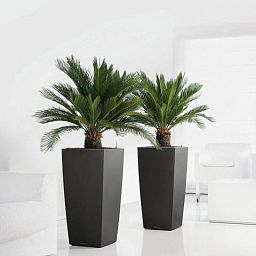 LECHUZA CUBICO Square Tall Poly Resin Self-watering Planter