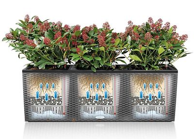 LECHUZA TRIO Cottage Trough Poly Resin Self-watering Planter