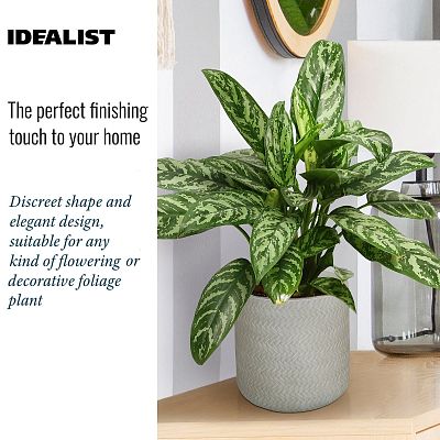 IDEALIST Lite Plaited Style Table and Hanging Cylinder Round Plant Pot Dual Use Indoor Planter