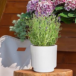 IDEALIST Lite Vertical Ribbed Cylinder Outdoor Planter