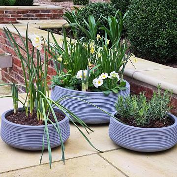 7 Secrets of Container Gardening