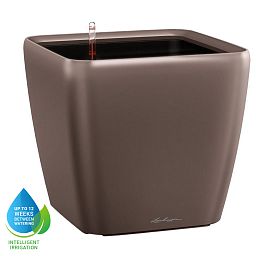 LECHUZA Quadro LS Square Poly Resin Self-watering Planter