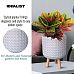 IDEALIST Lite Geometric Patterned Cylinder Planter on Legs, Round Pot Plant Stand Indoor