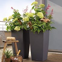 LECHUZA CUBICO Color 40 Slate Poly Resin Self-watering Planter with Su...