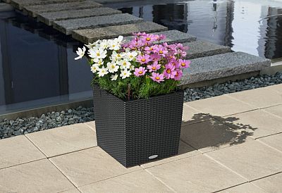 LECHUZA CUBE Cottage Square Poly Resin Self-watering Planter