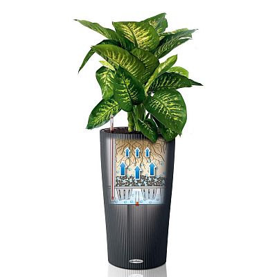 LECHUZA CILINDRO Color Round Tall Poly Resin Self-watering Planter
