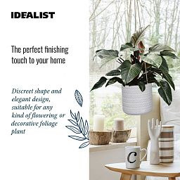 IDEALIST Lite Plaited Style Table and Hanging Cylinder Round Plant Pot Dual Use Indoor Planter