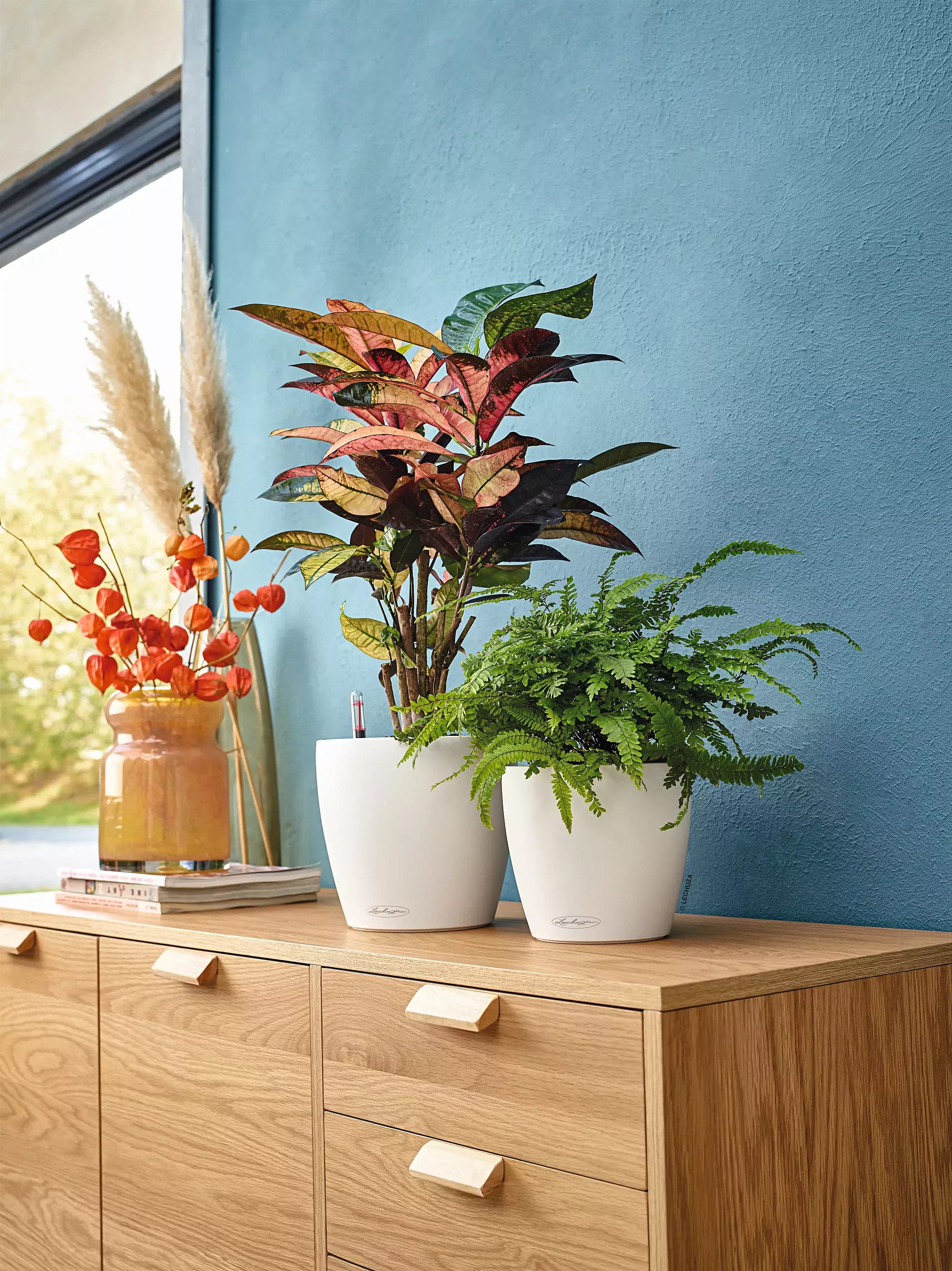 LECHUZA CLASSICO Color Round Poly Resin Self-watering Planter