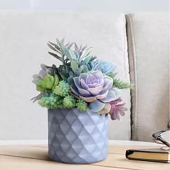 IDEALIST Lite Diamond Style Indoor Hanging Planter