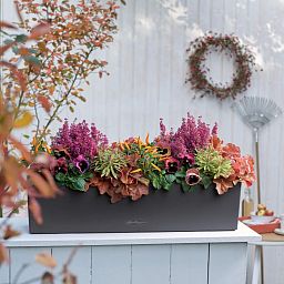 LECHUZA BALCONERA Color Trough Poly Resin Self-watering Planter