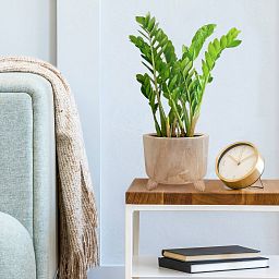 HORTICO GROWER Wooden House Planter with Legs, Indoor Plant Pot Stand with Waterproof Liner