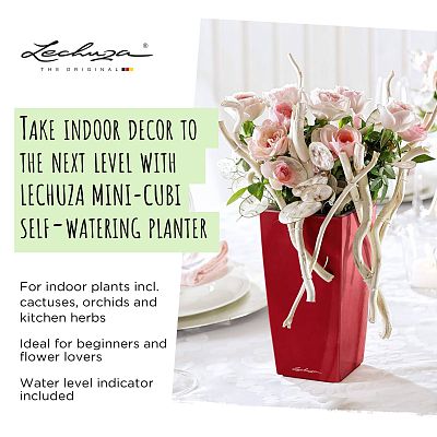 LECHUZA CUBI Square Poly Resin Indoor Self-watering Planter