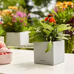 LECHUZA CANTO Stone Square Poly Resin Indoor Self-watering Planter