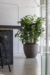 Fibrestone Jesslyn Round Planter by Idealist Premium