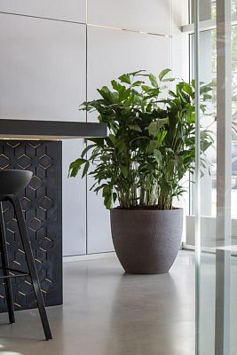 Fibrestone Jesslyn Round Planter by Idealist Premium