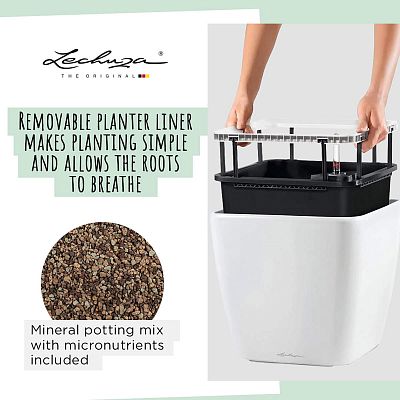 LECHUZA Quadro LS Square Poly Resin Self-watering Planter