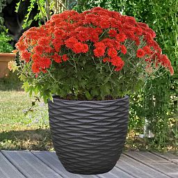 IDEALIST Lite Wave Style Outdoor Egg Planter