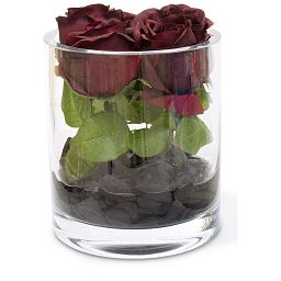 NATURAL ILLUSION Glass Vase