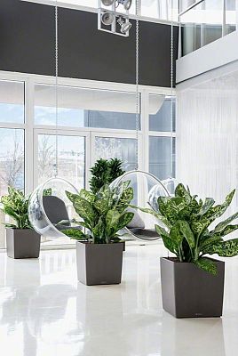 LECHUZA CUBE Square Poly Resin Self-watering Planter