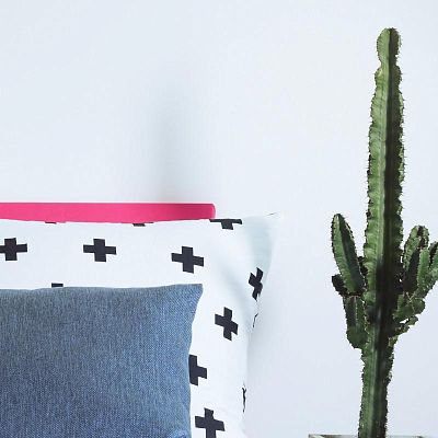 Euphorbia Ingens (Candelabra Tree) in LECHUZA CURSIVO Self-watering Planter, Total Height 110 cm