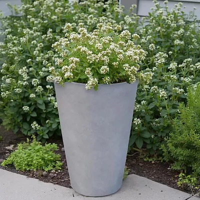 IDEALIST Lite Contemporary Round Light Concrete Planter