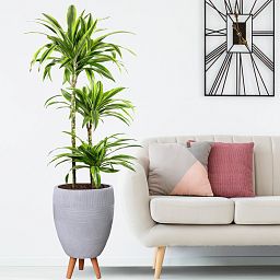 IDEALIST Lite Striped Egg Planter on Legs, Round Pot Plant Stand Indoor