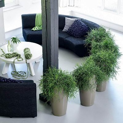 LECHUZA RONDO Round Tall Poly Resin Planter Only