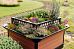 BioCube 2-in-1 Outdoor Planters and Wildlife House by Bio Scapes
