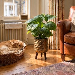 IDEALIST Lite Indoor Plant Pot, Diamond Faceted Antique Gold Planter on Legs
