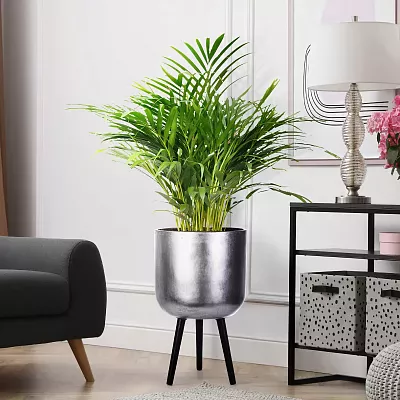 IDEALIST Lite Round Planter on Legs, Round Pot Plant Stand Indoor