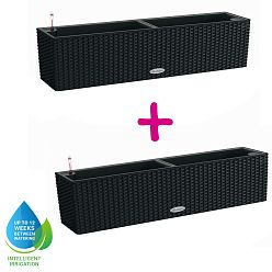 LECHUZA BALCONERA Cottage Trough Poly Resin Self-watering Planter Set