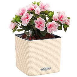 LECHUZA CUBE Color Square Poly Resin Indoor Self-watering Planter