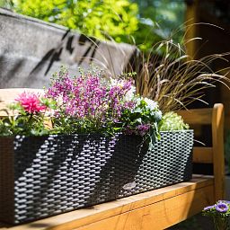 LECHUZA BALCONERA Cottage Trough Poly Resin Self-watering Planter