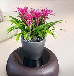 LECHUZA CLASSICO LS Round Poly Resin Self-watering Planter