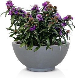 IDEALIST Lite Dish Style Smooth Bowl Outdoor Planter