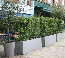 Geo Fiberglass Trough Aluminium Planter Pot In/Out