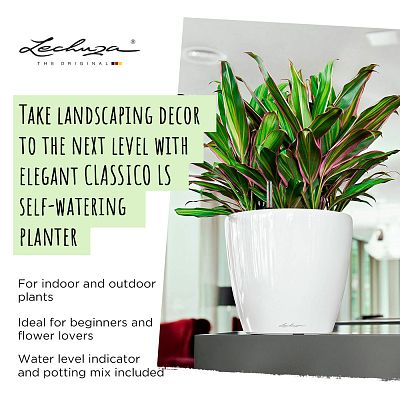 LECHUZA CLASSICO LS Round Poly Resin Self-watering Planter