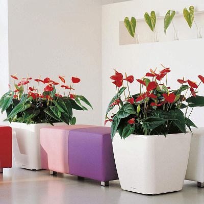 LECHUZA Quadro LS Square Poly Resin Self-watering Planter