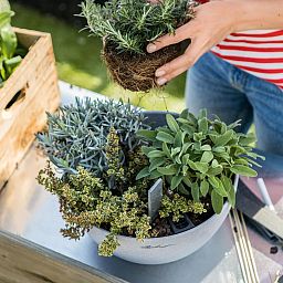 LECHUZA CUBETO COLOR Round Stone Look Poly Resin Self-watering Planter