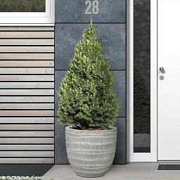 IDEALIST Lite Straw Plaited Style Egg Planter