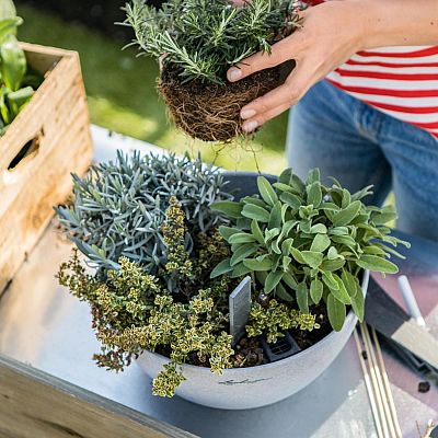 LECHUZA CUBETO COLOR Round Stone Look Poly Resin Self-watering Planter
