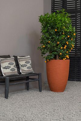 Fibrestone Ben Tall Planter by Idealist Premium