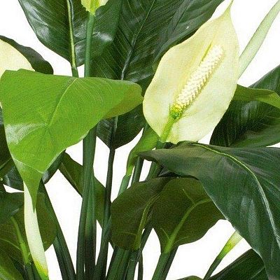 SPATHIPHYLLUM DELUXE Artificial Flower Plant