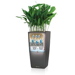 LECHUZA CUBICO Color Square Tall Poly Resin Self-watering Planter Set