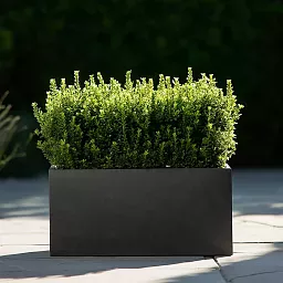 IDEALIST Lite Contemporary Light Concrete High Trough Planter Set