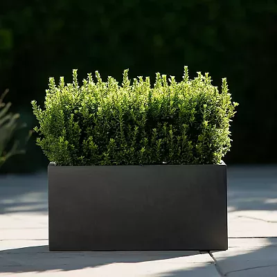 IDEALIST Lite Contemporary Light Concrete High Trough Planter Set