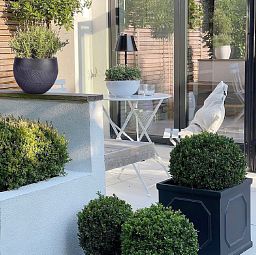 IDEALIST Lite Leaf Embossed Ball Planter